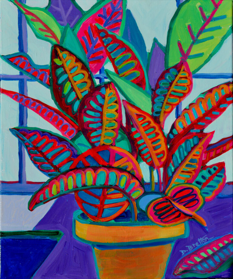A very colorful plant in an orange pot sits on a desk in front of a large window. The leaves of the plant look patterned with rich red outlines on every vein of each leaf. One leaf lies on the desk. the leaves further in the background are purple and green, complimenting the hot colors outlining the leaves in the foreground.